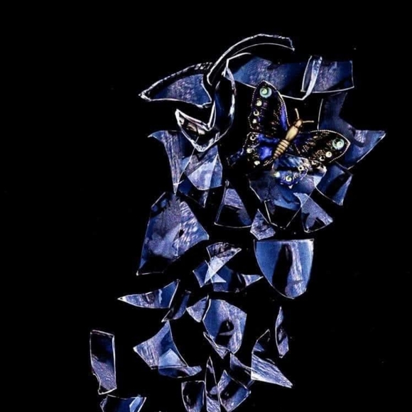 Meet your Posher, Bisi - Picture 1 of 1